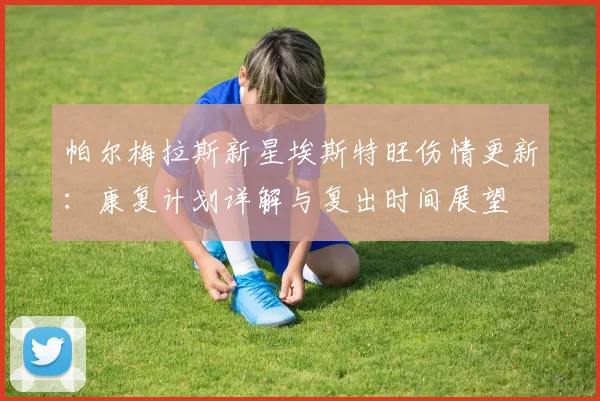 帕尔梅拉斯新星埃斯特旺伤情更新：康复计划详解与复出时间展望