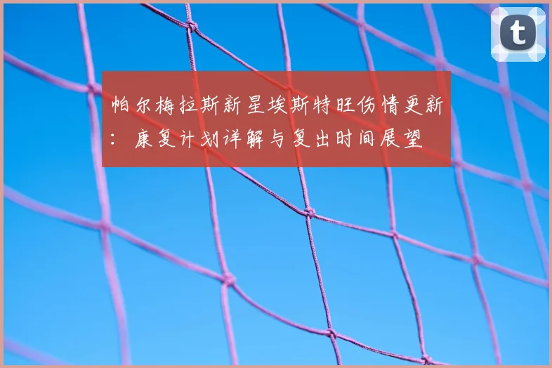 帕尔梅拉斯新星埃斯特旺伤情更新:康复计划详解与复出时间展望